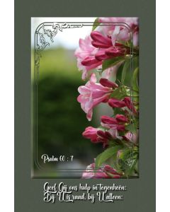 Psalmen 60