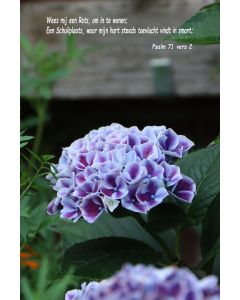 Psalmen 71