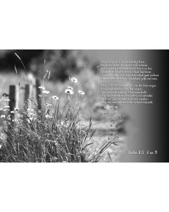 Psalmen 78