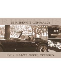 rijbewijs 01