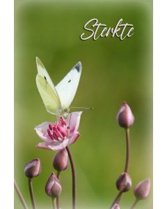 Sterkte algemeen 54