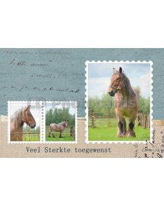 Sterkte heren 08