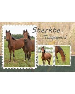 Sterkte heren 12
