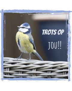 Vierkant 54