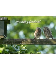 Vogels 05