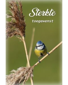 Vogels 23