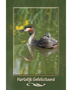 Vogels 28