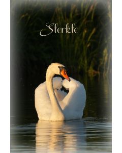 Vogels 29