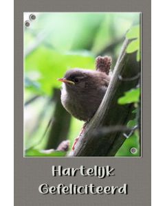 Vogels 32