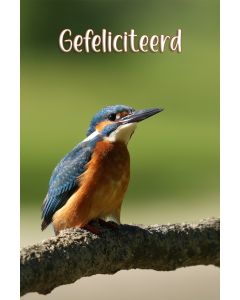 Vogels 35