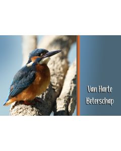 Vogels 36