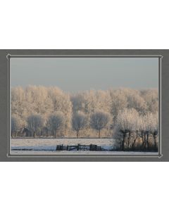 Winter blanco 26